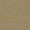 Beige Beige