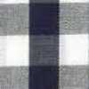 Blue/White Check