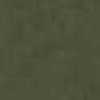 Olive Olive