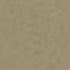 Light Beige Light Beige