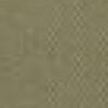 Beige Beige