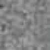 Light Gray Light Gray