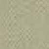 Beige Beige