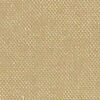Beige Beige