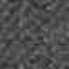 Gray Gray