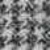 Light Gray Light Gray
