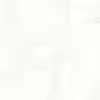White White