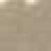 Light Brown Light Brown