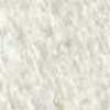 White/Camel White/Camel