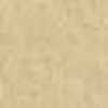 Beige Beige
