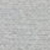 Silver Gray Silver Gray