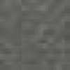 Rose Gray Rose Gray