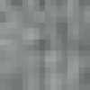 Light Gray Light Gray