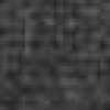 Gray Gray