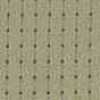 Beige Beige