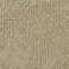 Beige Beige