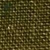 Dark Yellow Dark Yellow