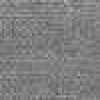 Gray Gray