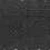 Dark Gray Dark Gray