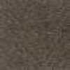 Mocha Beige Mocha Beige