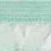 Mint Green Mint Green