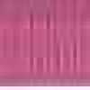 Orchid Orchid