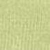 Asparagus Green Asparagus Green