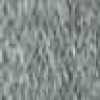 Gray Gray