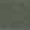 Olive Olive