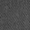 Gray Gray