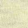Beige Beige