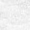 Fluorescent White Fluorescent White