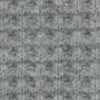 Gray Gray
