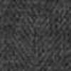 Gray Gray