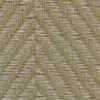 Light Brown Light Brown
