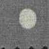 Gray Gray