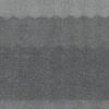 Mouse Gray