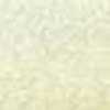 Light Beige Light Beige