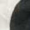 White White