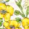 Yellow Yellow