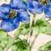 Blue Blue