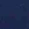 Navy Blue Navy Blue