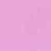 Pastel Pink Pastel Pink