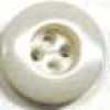 Ecru Beige Ecru Beige