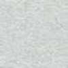 Light Gray Light Gray