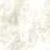 White White