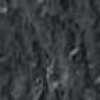 Gray Gray
