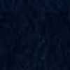 Navy Navy