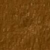 Light Brown Light Brown