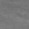 Gray Gray